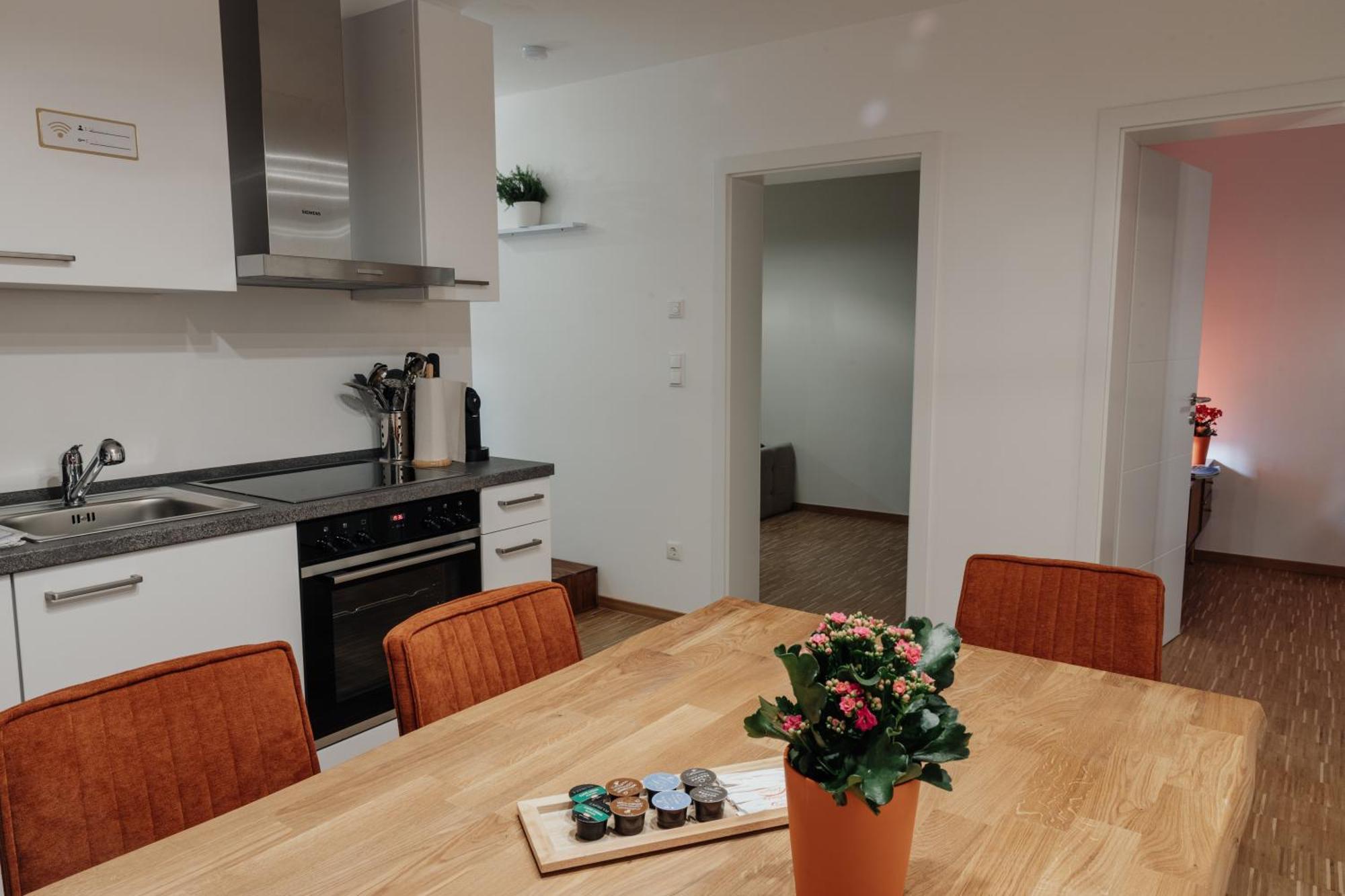 Passaus Motto Appartements! Solo - Paerchen - Familien - Gruppen Oda fotoğraf
